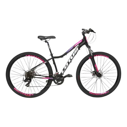 Bicicleta aro 29